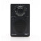 PAL BT FM Portable Radio  option Black