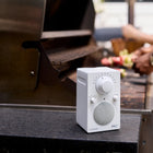 PAL BT FM Portable Radio