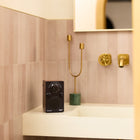 PAL BT FM Portable Radio
