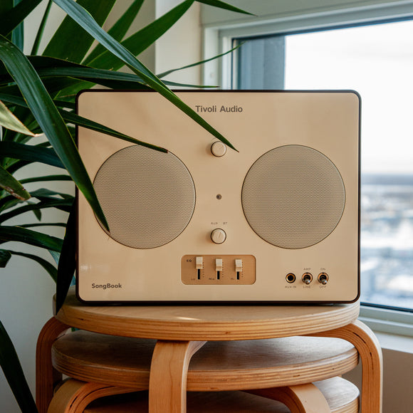 Songbook MAX, Premium Bluetooth Sound System with FM, 1/4 Auxiliary Input and Built-in Preamp (Green Songbook MAX, Premium Bluetooth Sound System with FM, 1/4 Auxiliary Input and Built-in Preamp (Green