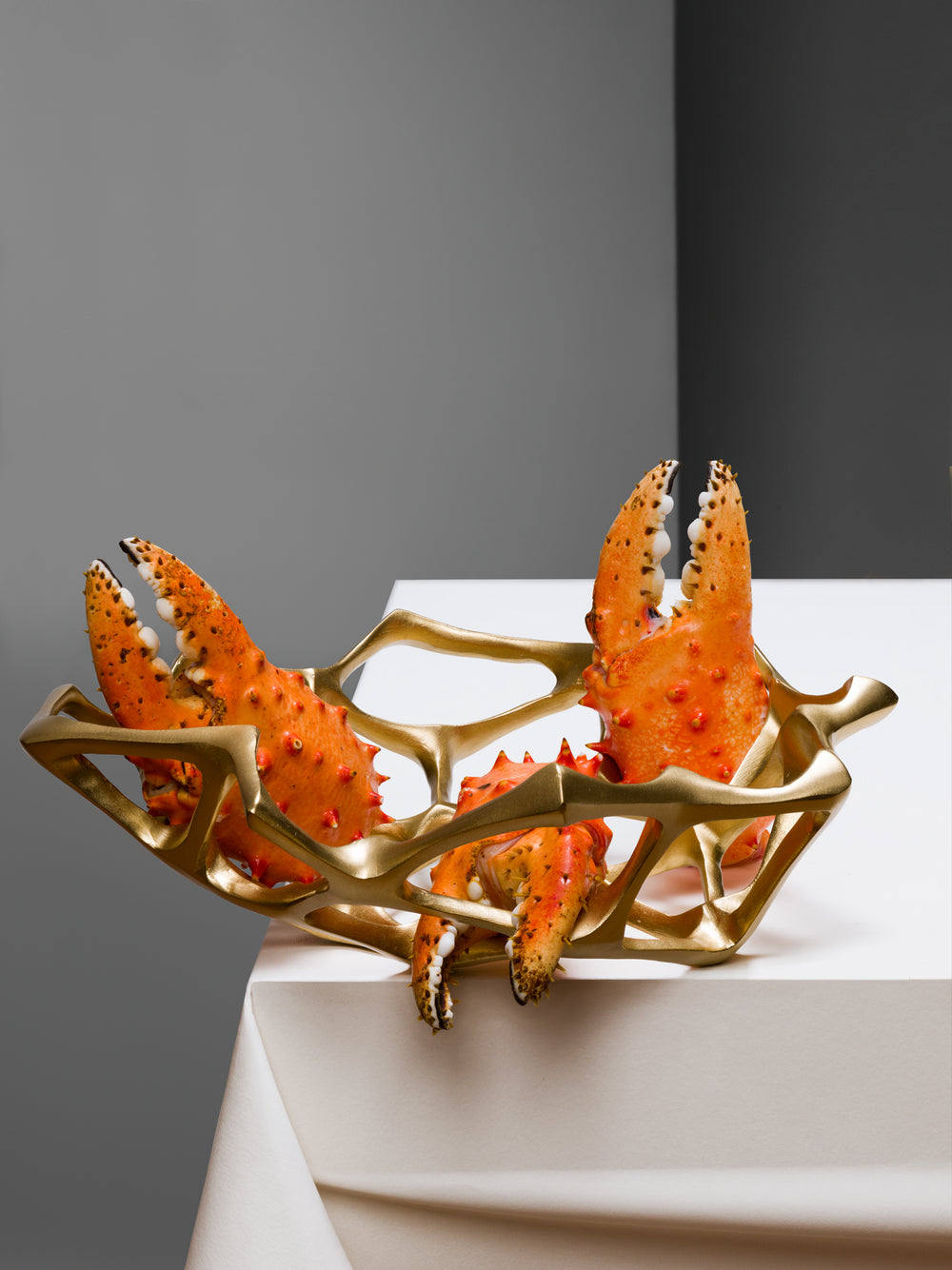 Bone Bowl