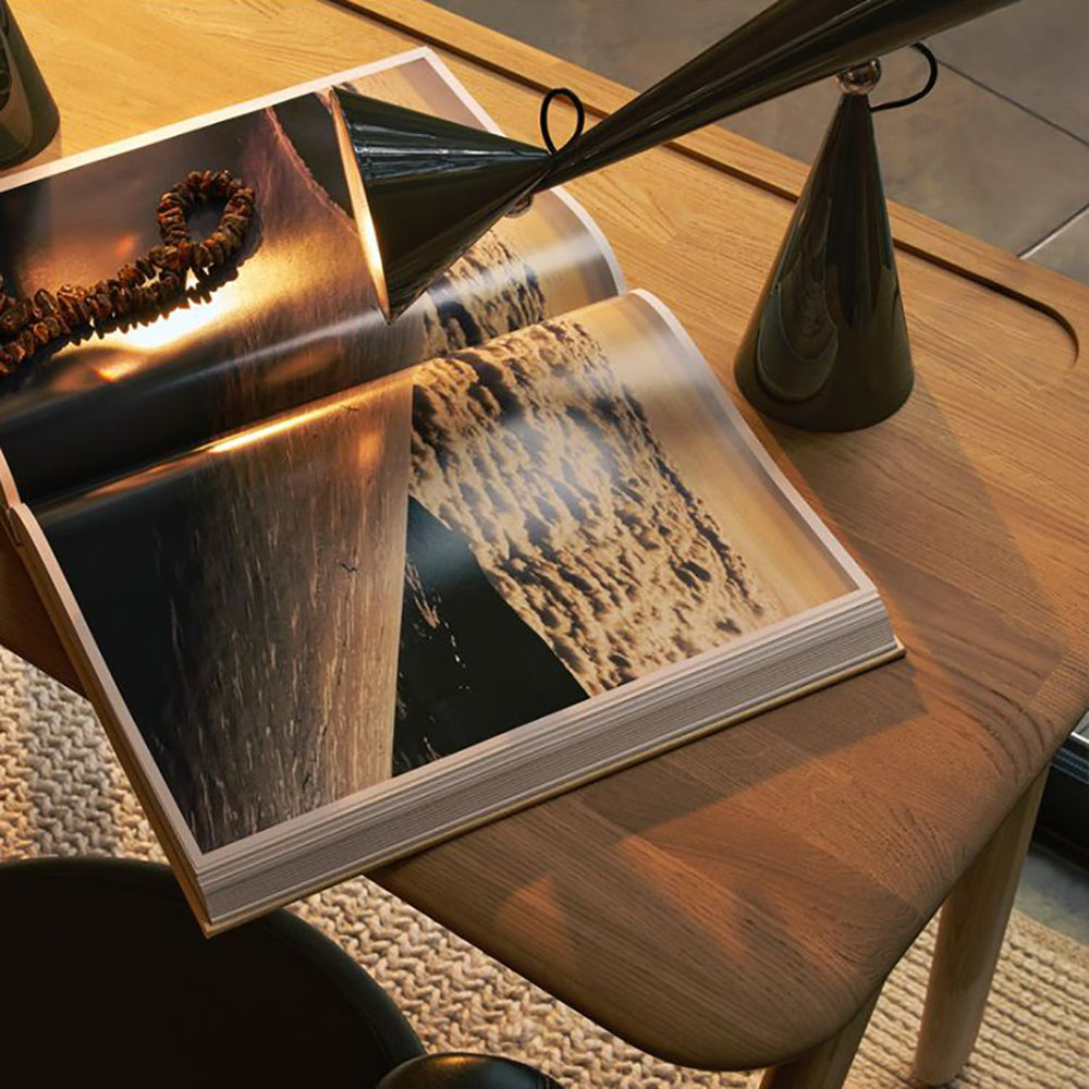 Pose LED Desk Lamp