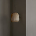 ST906 LED Pendant Light