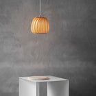 ST906 Mini LED Pendant Light