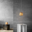 ST906 Mini LED Pendant Light