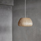 TR19 LED Pendant Light