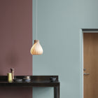 TR42 LED Pendant Light