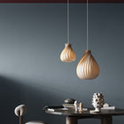 TR42 LED Pendant Light