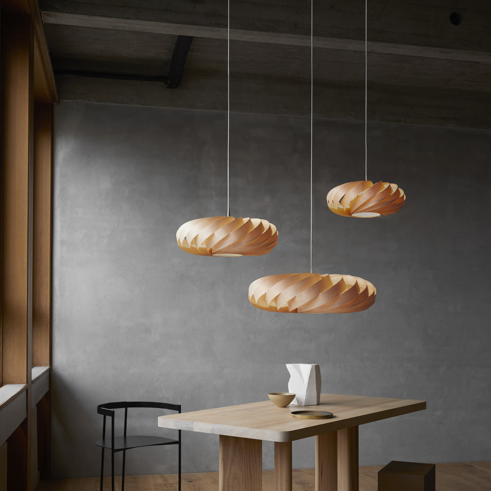 TR5 LED Pendant Light