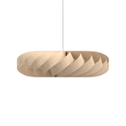 TR5 LED Pendant Light
