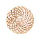 TR5 LED Wall Sconce