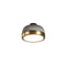 Molly LED Wall/Ceiling Light  option Grey / Brass Ring / Medium: 7.9 in diameter