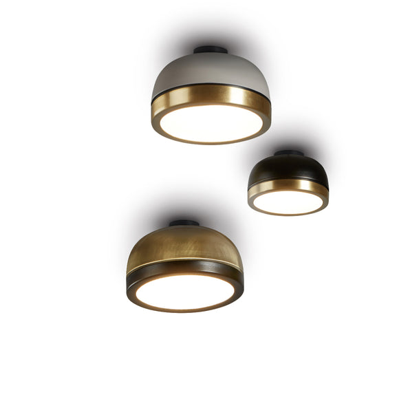 Molly LED Wall/Ceiling Light
