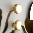 Molly LED Wall/Ceiling Light