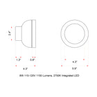 Molly LED Wall/Ceiling Light
