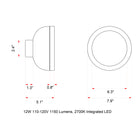 Molly LED Wall/Ceiling Light