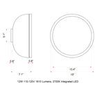 Molly LED Wall/Ceiling Light