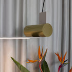 Nastro Linear LED Pendant Light
