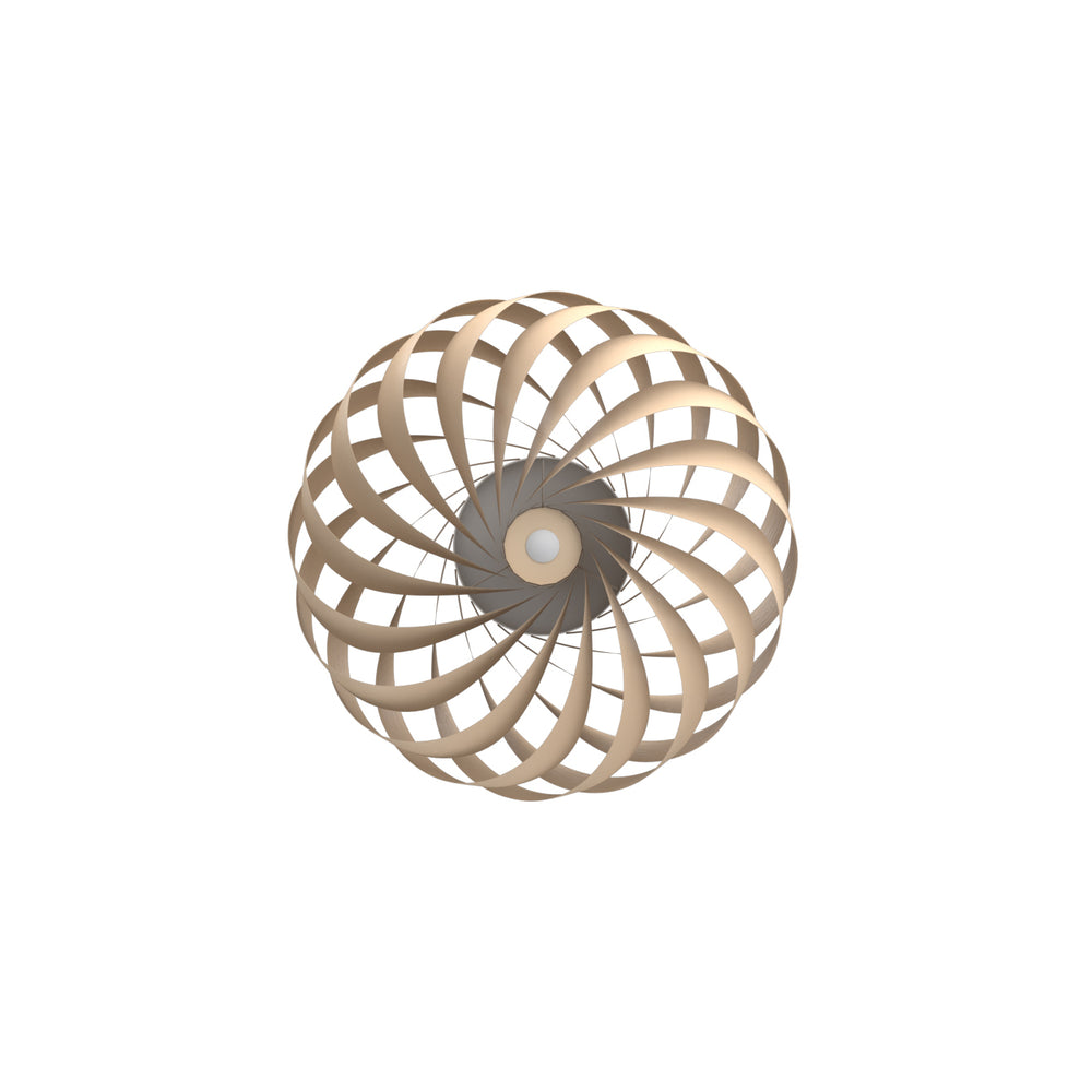 TR5 LED Wall Sconce