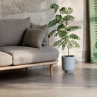 Fly 2-Seater Sofa