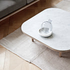 Fly Coffee Table
