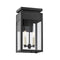 Braydan Outdoor Wall Sconce  option 2 Lights