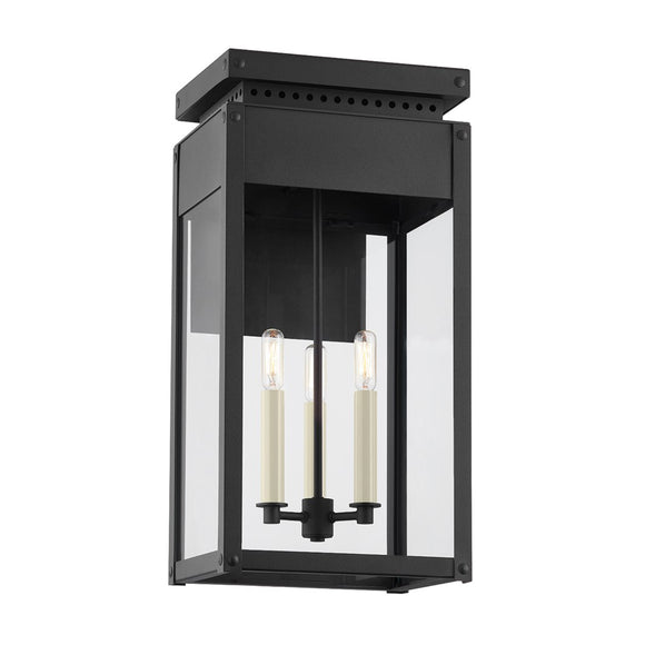 Braydan Outdoor Wall Sconce