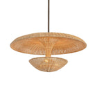 Draco Pendant Light