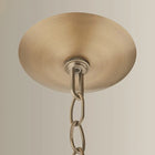 Petal Pendant Light