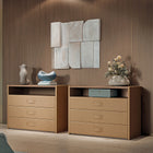 Atelier Dresser
