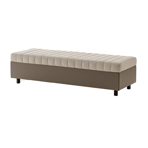 Domus Bench