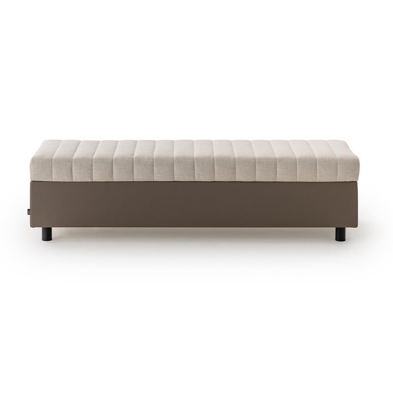 Domus Bench