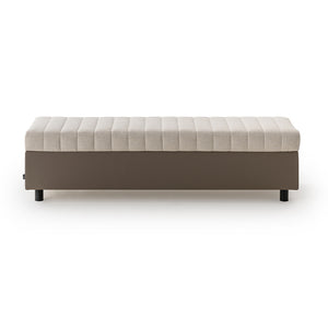 Domus Bench
