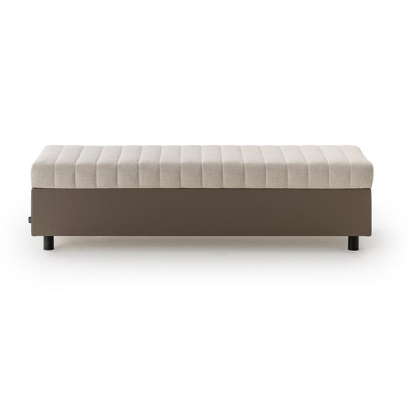 Domus Bench