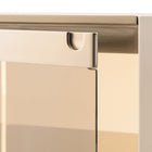 Roma Cabinet