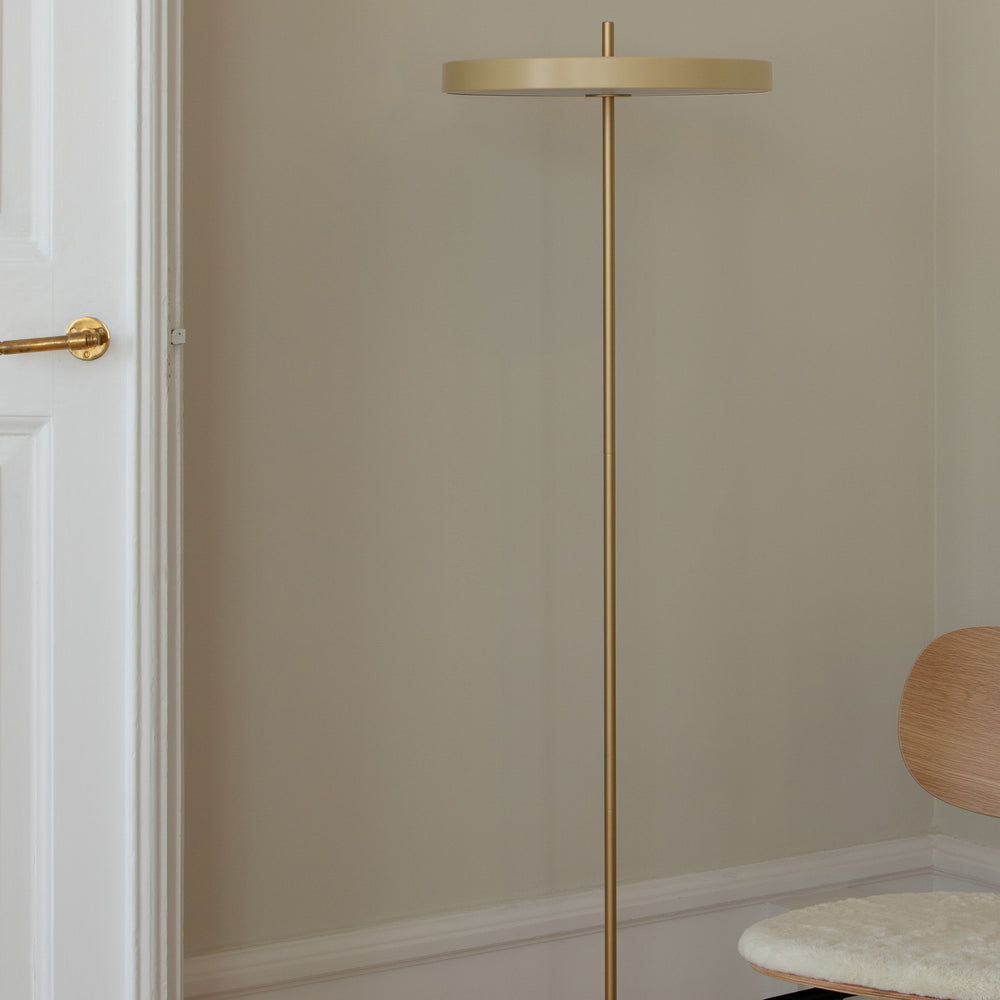 Asteria Floor Lamp