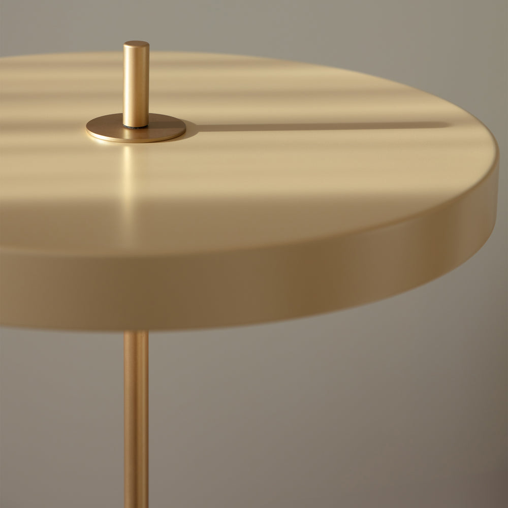 Asteria Floor Lamp