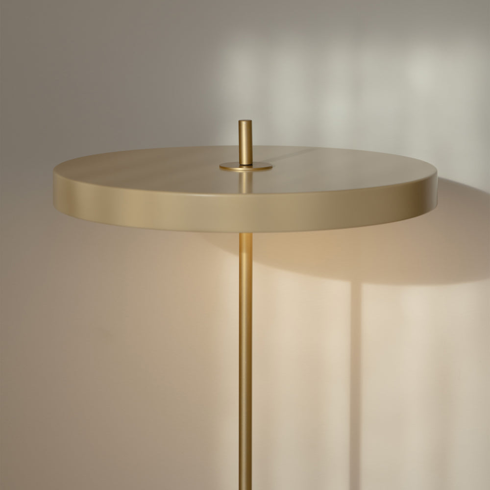Asteria Floor Lamp