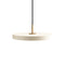 Asteria Pendant Light  option Brass