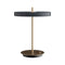 Asteria Table Lamp  option Anthracite Grey