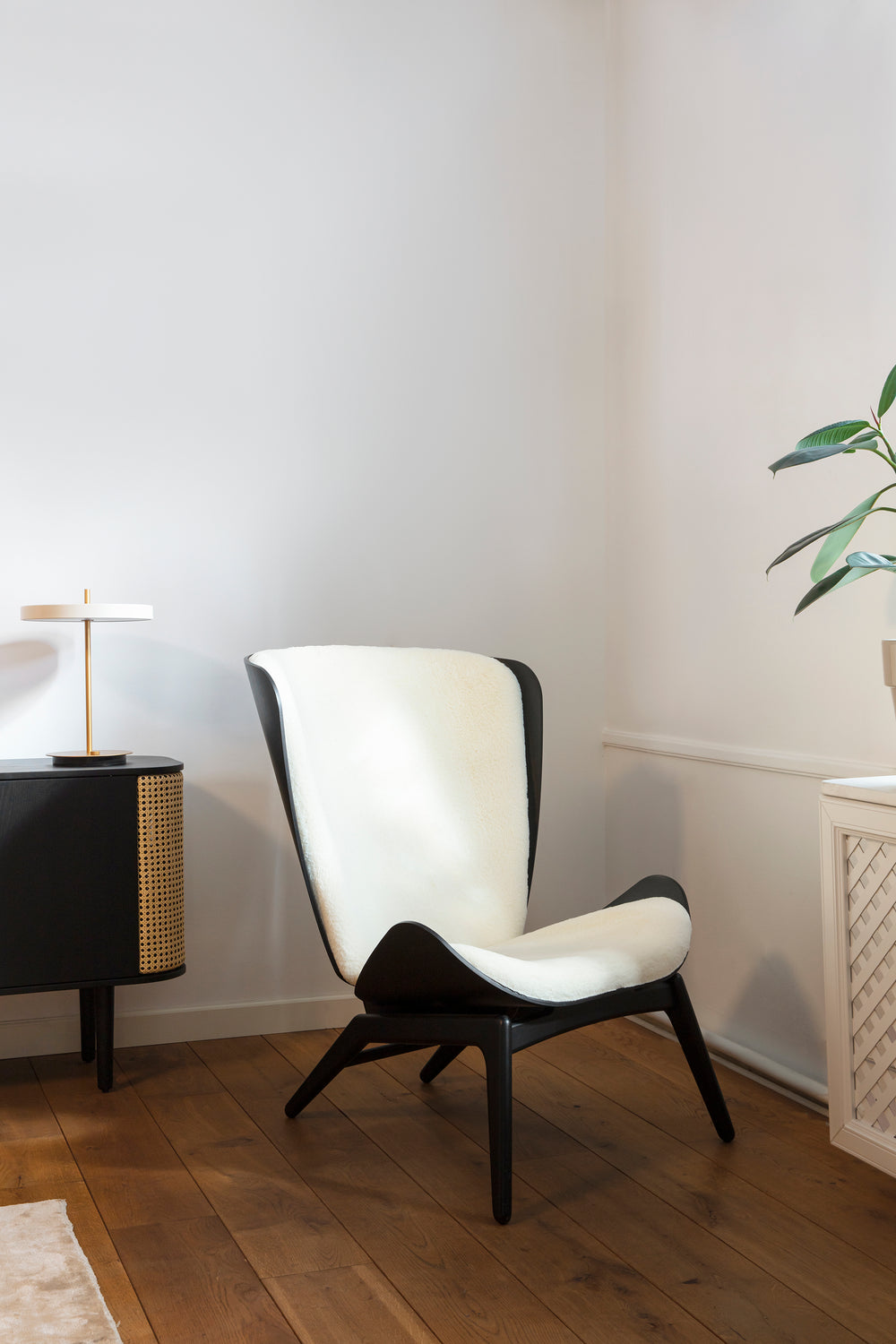 Asteria Table Lamp