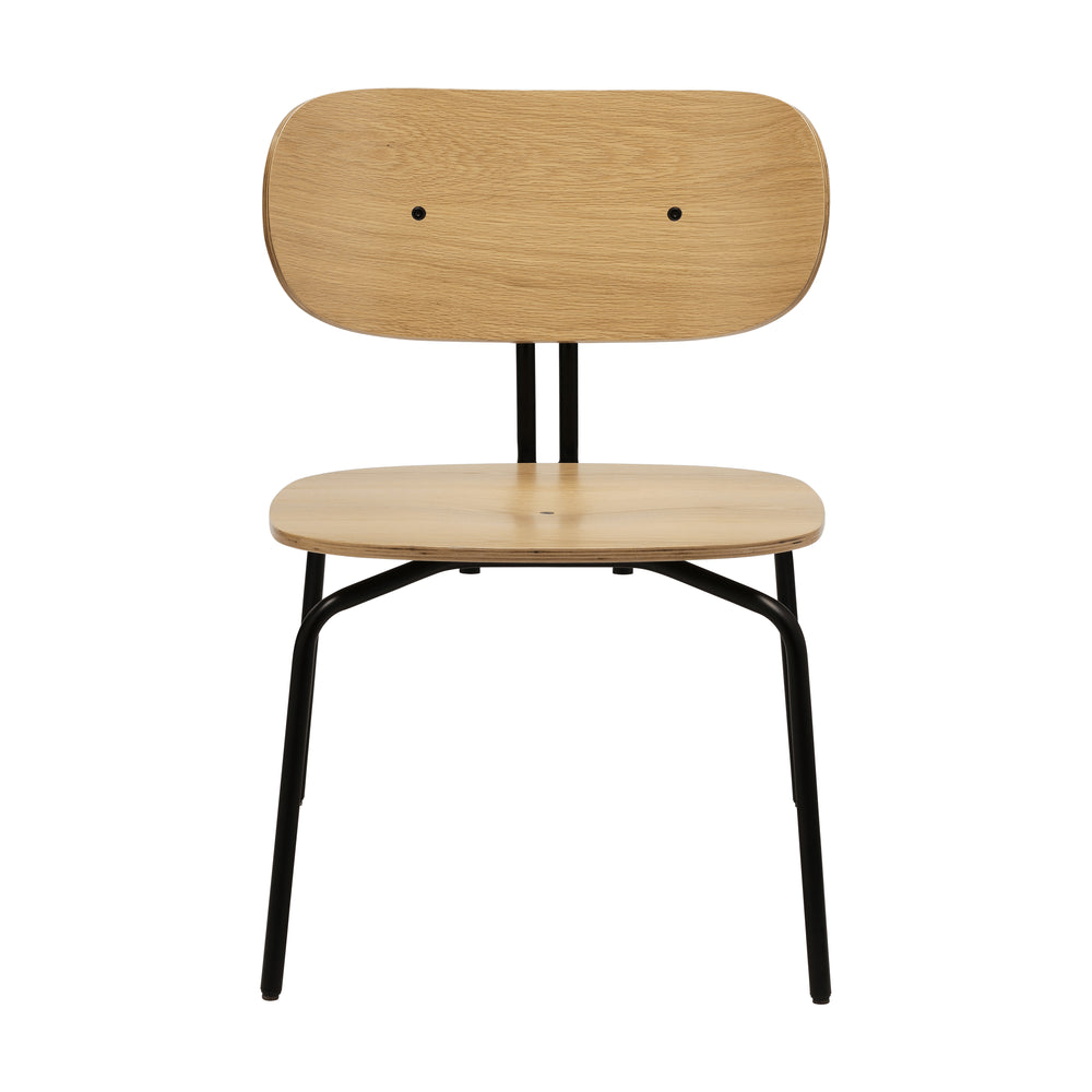 Curious Lounge Chair