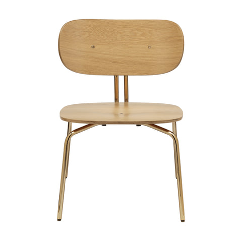 Curious Lounge Chair