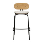 Curious Stool