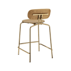 Curious Stool