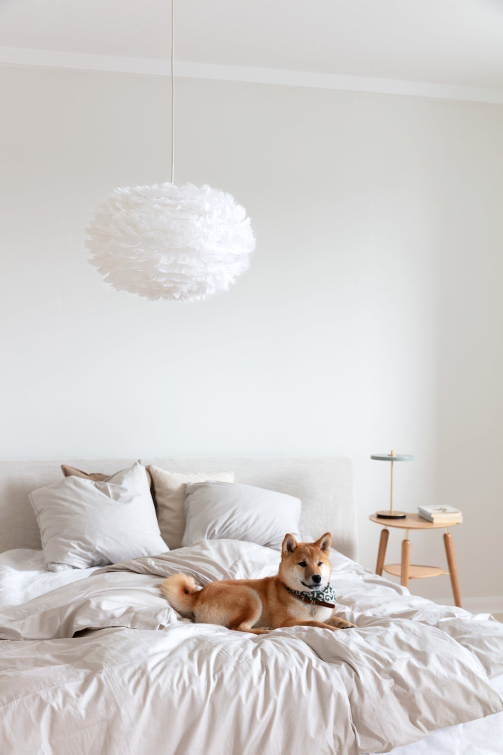 Eos Pendant Light