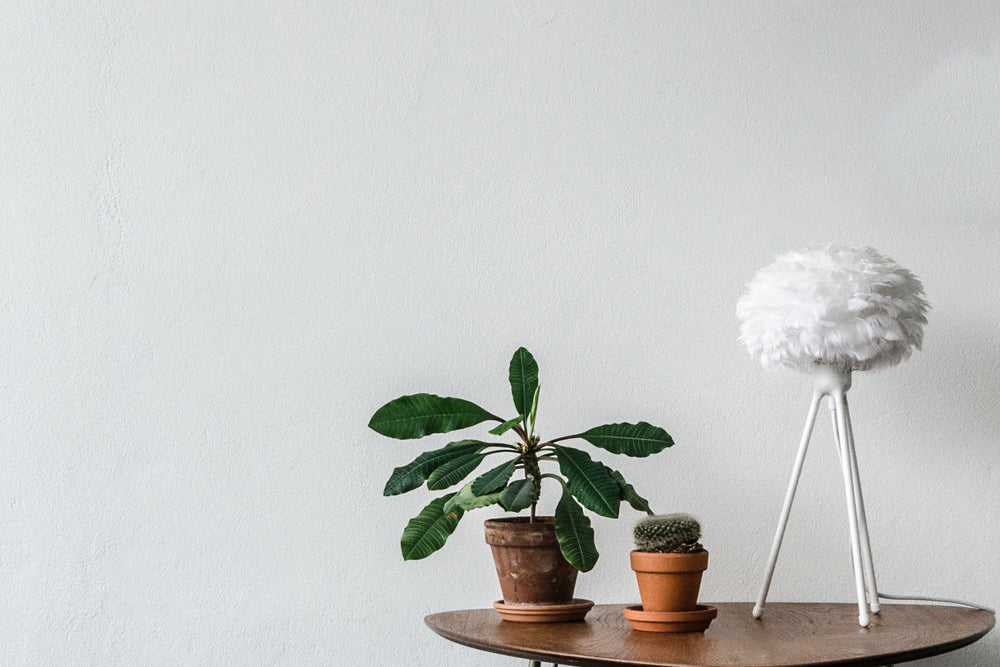 Eos Table Lamp