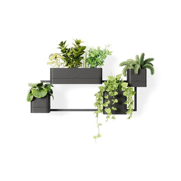 umbra wall hanging planter Umbra Cubiko Wall Planter