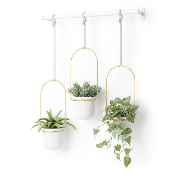 Triflora Hanging Planters and Rod
