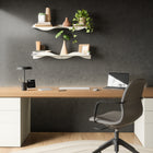 Surf Wall Shelves (Set of 2)